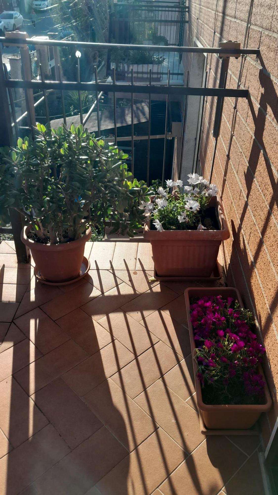 La Romana Apartment *